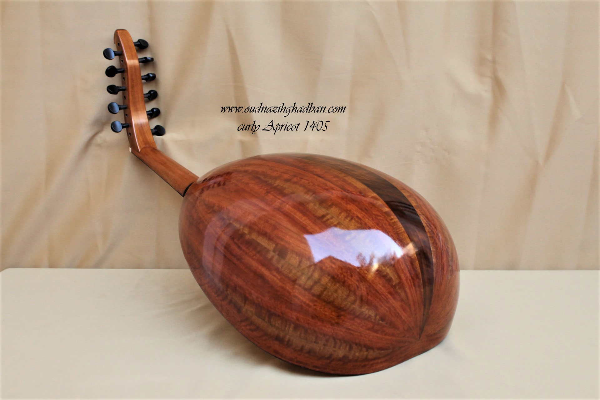 1504 Curly Apricot