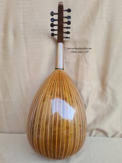 1534 Spike wheat BL