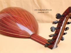 1329 Amarante6